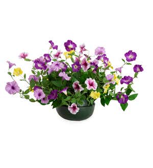 Faux Petunia Urn Filler