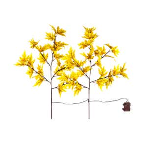 Indoor/Outdoor Lighted Golden Sugar Maple Tree Branches, Set of 2