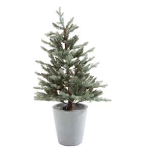 Indoor/Outdoor Potted Misty Pine Mini Christmas Tree with Lights