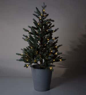 Indoor/Outdoor Potted Misty Pine Mini Christmas Tree with Lights