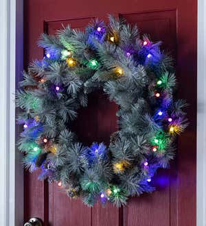 Winter Frost Lighted Holiday Wreath