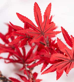 Indoor/Outdoor Lighted Japanese Maple Leaf Garland with 70 Lights