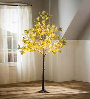 Indoor/Outdoor Electric Lighted Moss Oak Trees