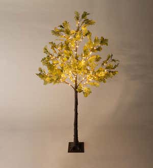 Indoor/Outdoor Electric Lighted Moss Oak Tree, 4'H with 108 lights