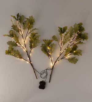 Indoor/Outdoor Lighted Moss Oak Branches, Set of 2