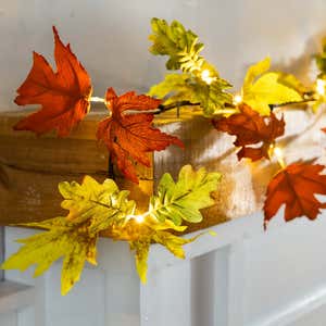 Indoor/Outdoor Lighted Mixed Oak Leaf Garland