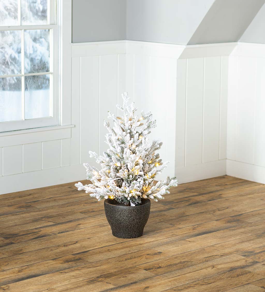 Indoor/Outdoor Flocked Roanoke Spruce Potted Tree with Warm White LEDs