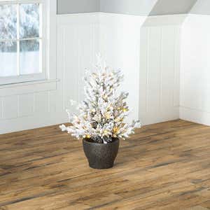 Indoor/Outdoor Flocked Roanoke Spruce Potted Tree with Warm White LEDs