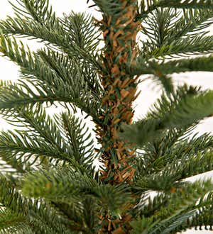 Monte Rosa Alpine Fir Tabletop Tree