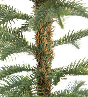 Monte Rosa Alpine Fir Tabletop Tree