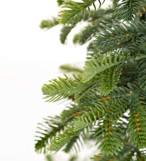 Monte Rosa Alpine Fir Tabletop Tree