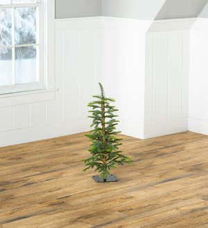 Monte Rosa Alpine Fir Tabletop Tree