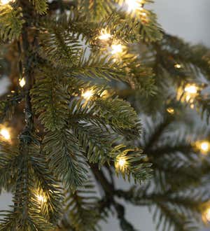 Monte Rosa Lighted Alpine Fir Christmas Tree