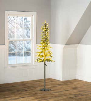 Monte Rosa Lighted Alpine Fir Christmas Tree