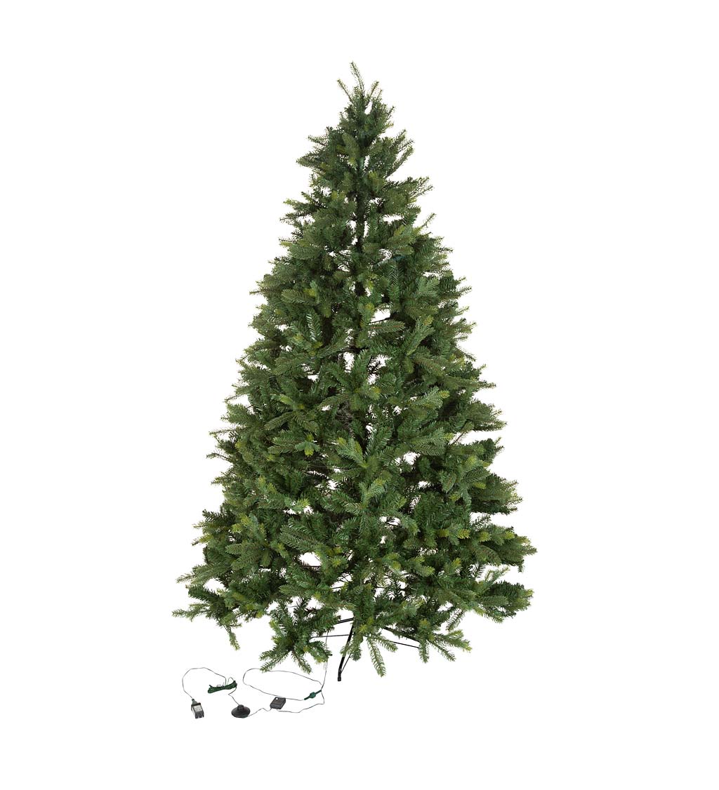 6' Keswick Pine Christmas Tree with 700 Warm White LEDs