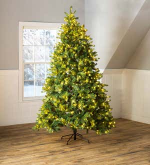 7' Keswick Pine Christmas Tree with 900 Warm White LEDs