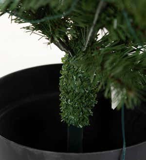 Indoor/Outdoor Keswick Potted Pine Tree with Warm White LEDs