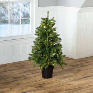 Indoor/Outdoor Keswick Potted Pine Tree with Warm White LEDs