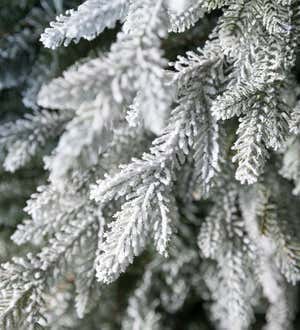 Indoor/Outdoor Flocked Roanoke Spruce Potted Tree with Warm White LEDs