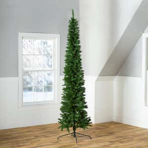 Eastern Slim Pine Christmas Tree