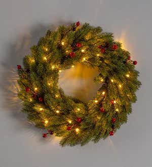 Wintergreen Lighted Holiday Wreath