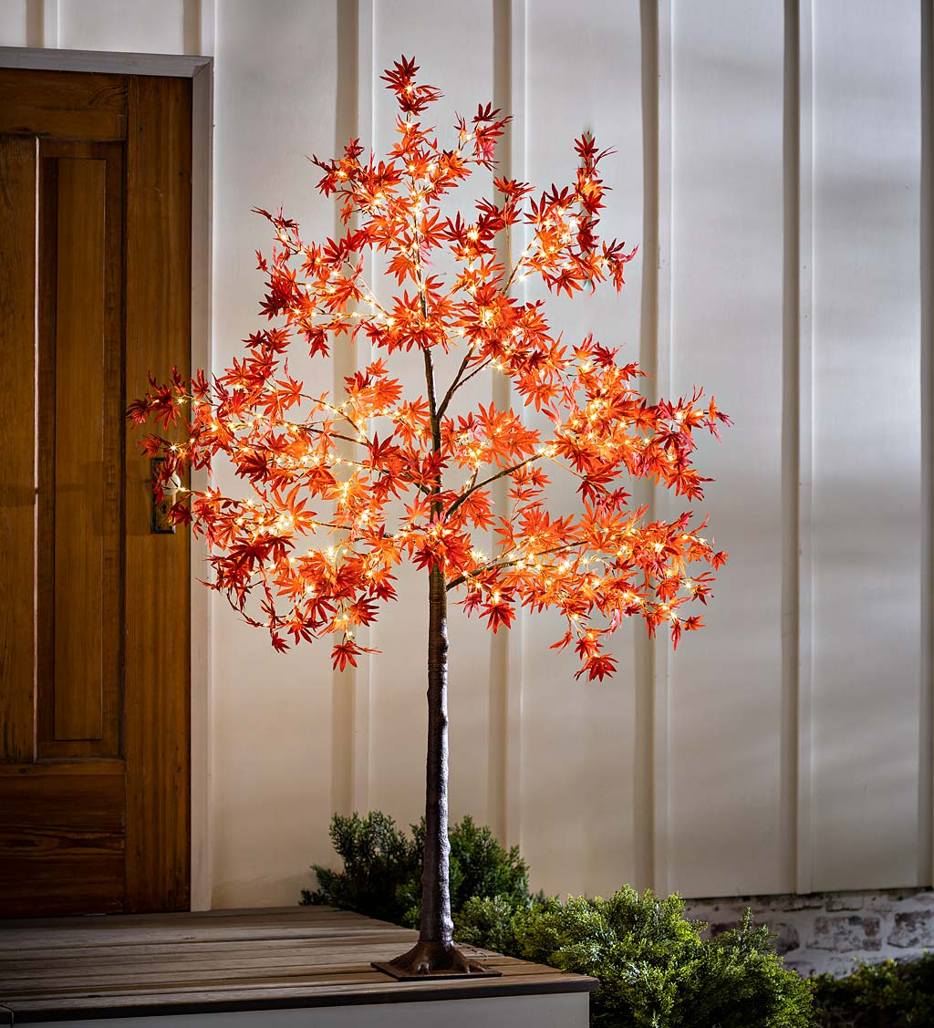 Indoor/Outdoor Electric Lighted Japanese Maple Trees