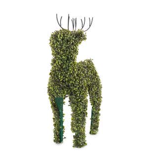 Lighted Boxwood Reindeer Topiary