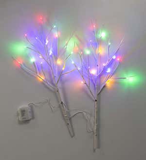 Birch Twig Branches with Dual-Function Lights, Set of 2