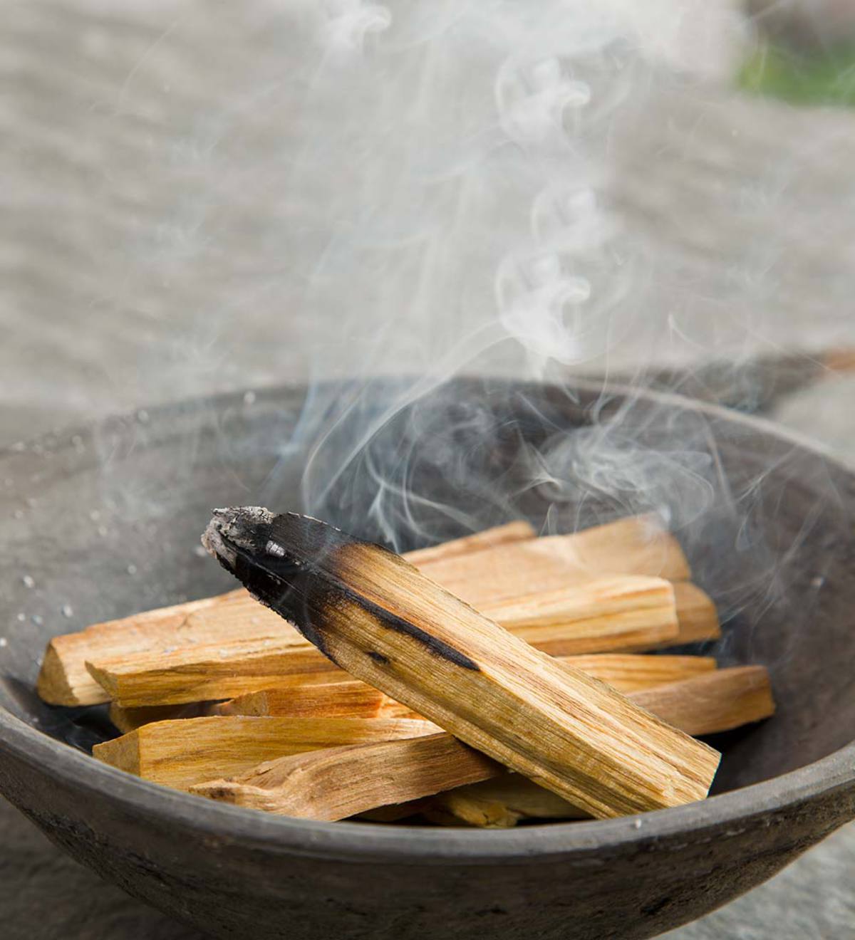 Natural Palo Santo Wood, 2 lb. Bag