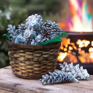 Color-Changing Fireplace Color Cones, 1 lb. in Gift Basket