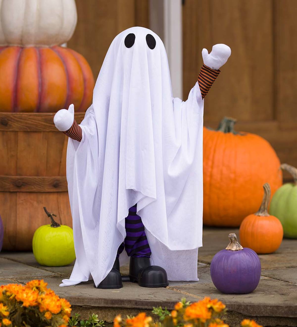 Motion-Activated Talking Ghost Halloween Decoration