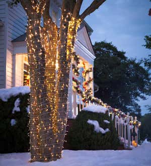 Multifunction Twinkle String Lights with Timer, Clear Wire with White LEDs