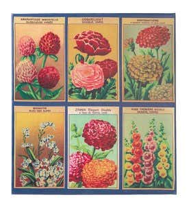 Antique Seed Packets IIII – wonderful canvas print– Photowall