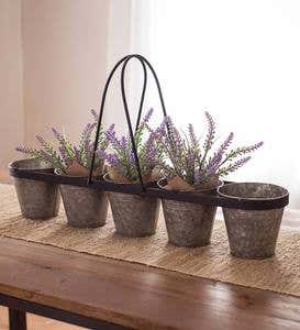 Galvanized Planters with Carrying Rack, Set of 5