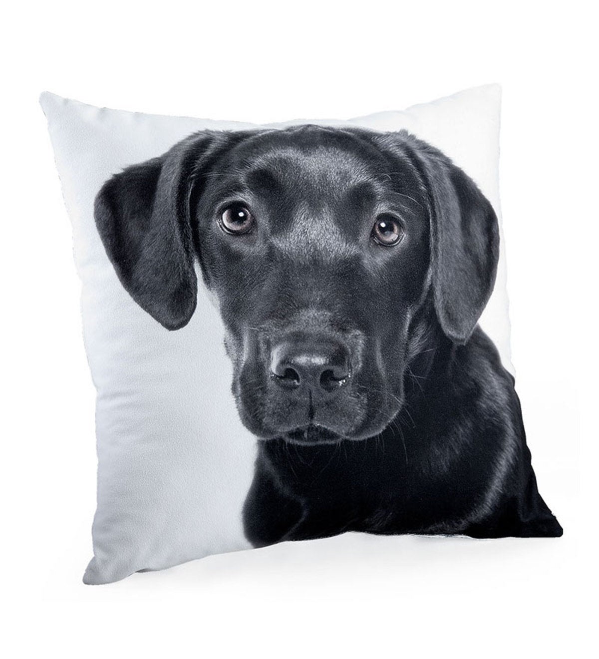 Labrador Photo-Printed Throw Pillows