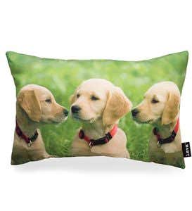 Photo-Printed Golden Retriever Puppy Pillow