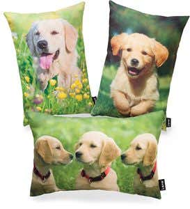 Photo-Printed Golden Retriever Puppy Pillow