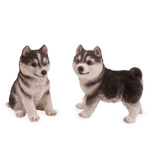 Lifelike Indoor/Outdoor Siberian Husky Puppy Statues, Set of 2