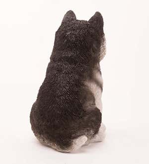 Lifelike Indoor/Outdoor Siberian Husky Puppy Statues, Set of 2