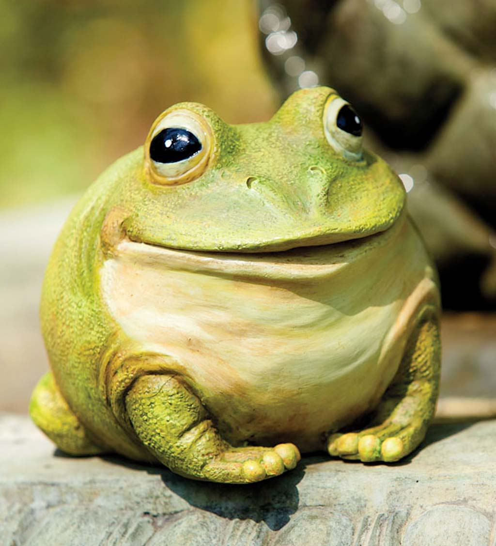 Portly Frog Statue and Key Hider