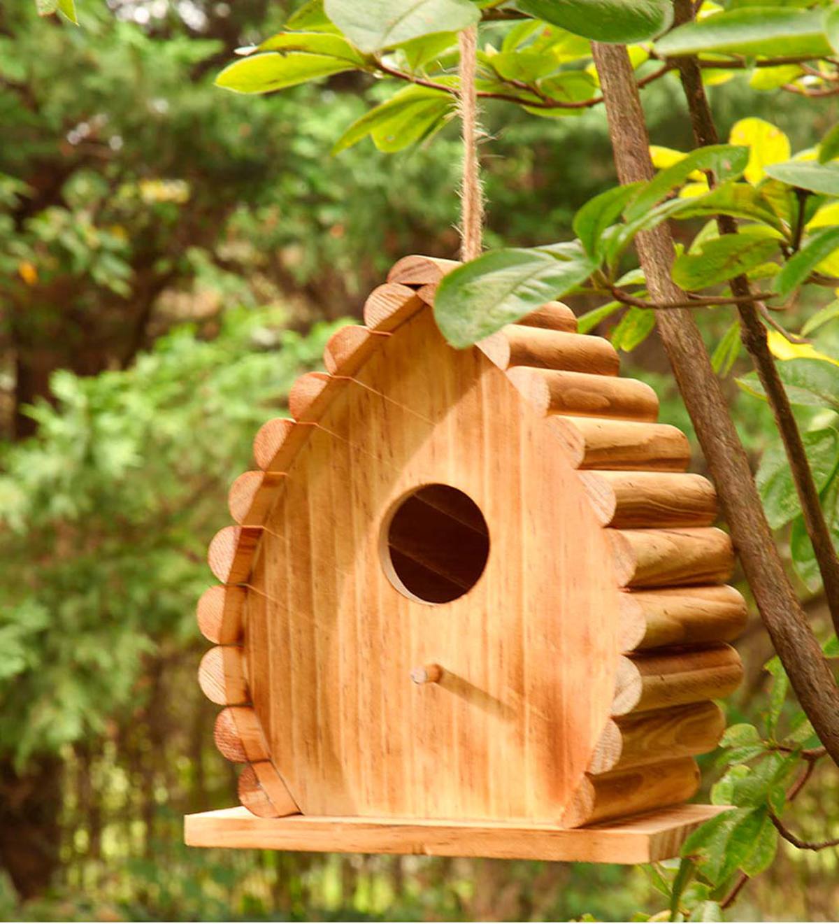 Handcrafted Wood Dew Drop Bird House