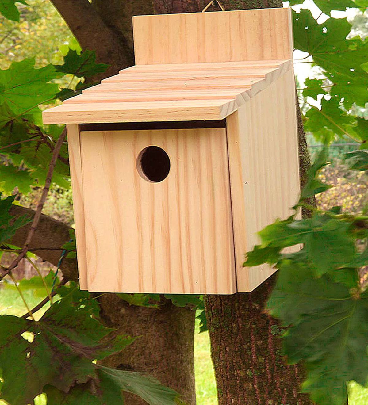 Handcrafted Wood Frontier Bird House