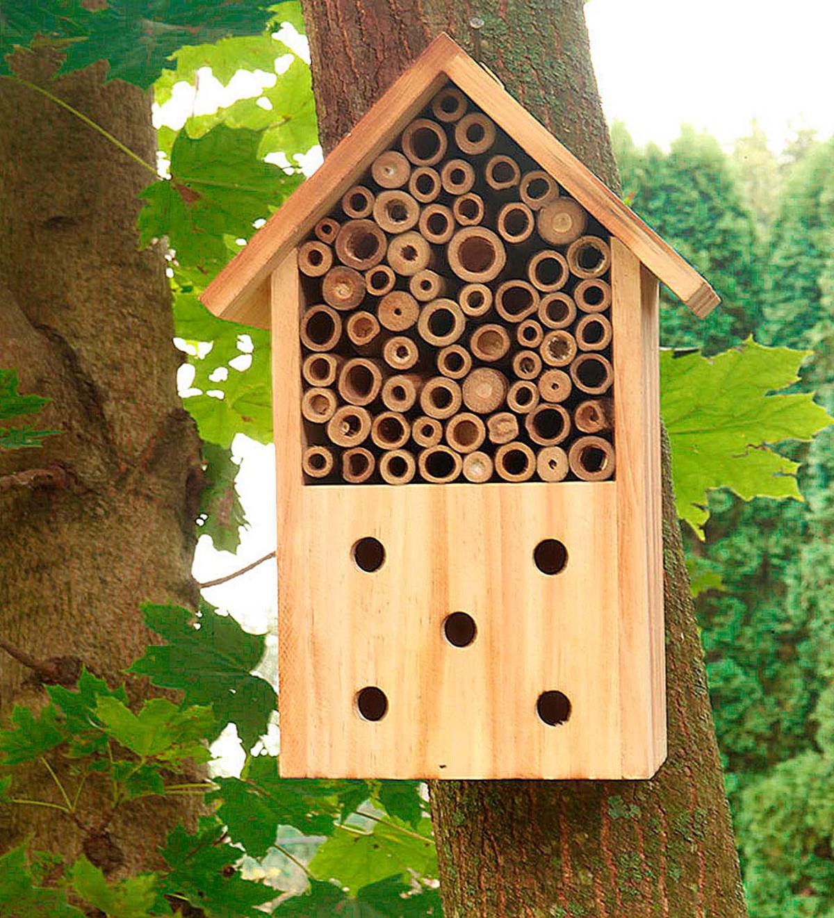 Wood And Bamboo Log Cabin Bee Habitat