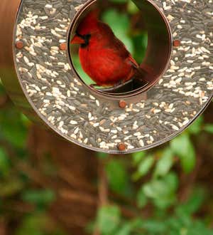 Copper Tear Drop Bird Feeder