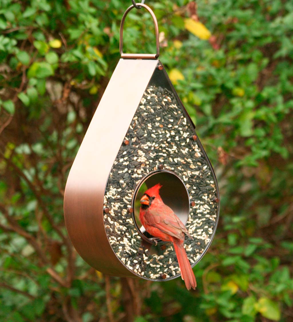 Copper Tear Drop Bird Feeder