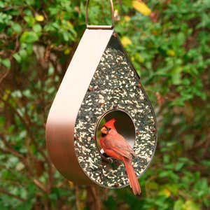 Copper Tear Drop Bird Feeder