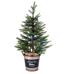 Lighted Tabletop Spruce Tree with 20 Multicolor Lights and Galvanized Bucket