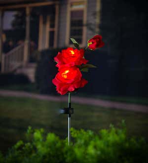 Red Rose Solar Garden Stake