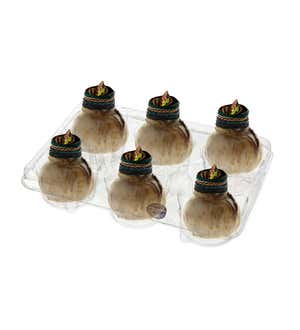 Naturalz Waxed Self-Contained Amaryllis Flower Bulbs, Set of 6