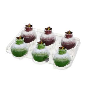 Snowy Self-Contained Amaryllis Flower Bulbs, Set of 6